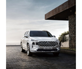 더뉴싼타페 5인승