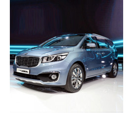 올뉴카니발 9인승