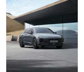 디올뉴그랜저 2023년형