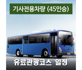 45인승차량 + 전용기사  - 유료관광코스 일정