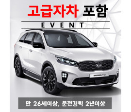 신형 쏘렌토 + 고급자차